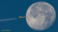 DHL-Moon20231129