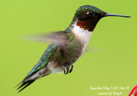 _DSC1289-Edit-Edit