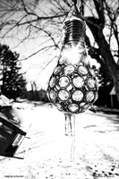 One of my favorite photos, the sun glows through a decorative bulb on a cool winter morning