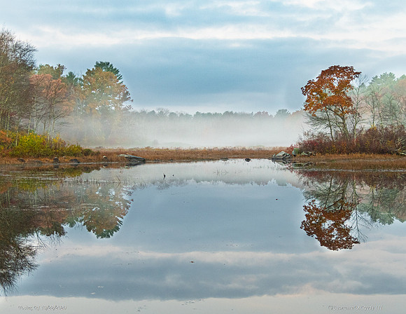 Interesting colors and contrasts