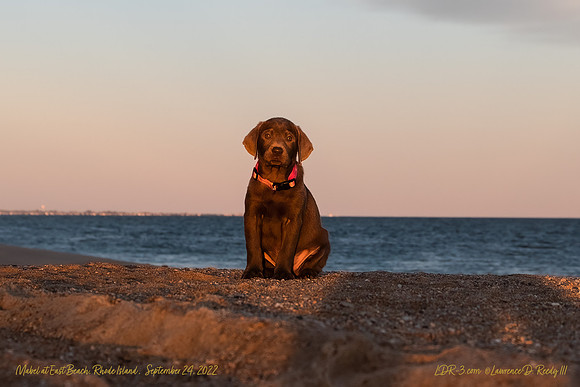 Mabel at East Beach, RI Sept 24, 2022 version 1