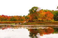 Hopkins Mills Pond, Foster, RI USA
